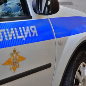 Полицейские Южного округа столицы задержали подозреваемую в краже