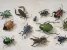 Дезинфекционная компания Pest Away в Ореховом проезде Изображение 6